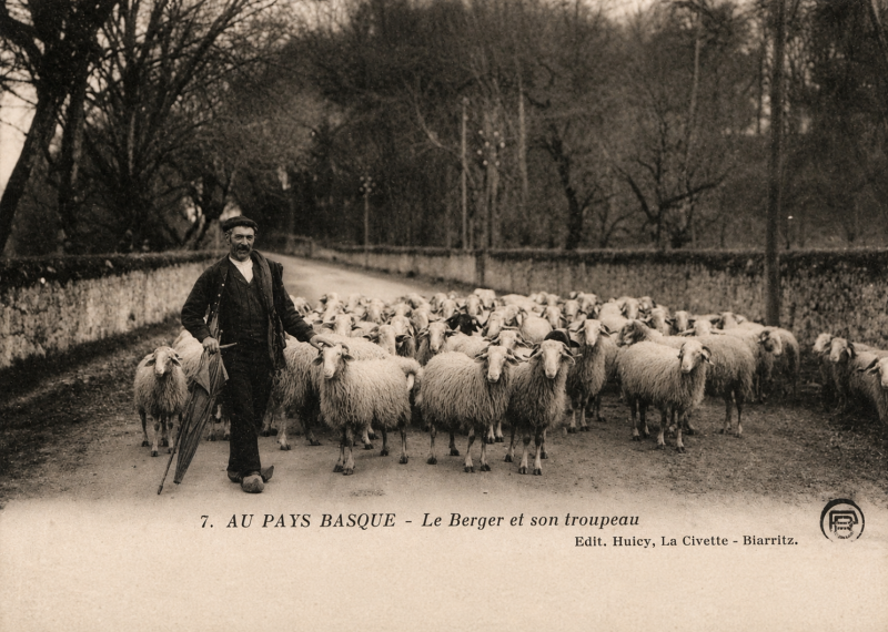 La transhumance au Pays Basque au début du XXe siècle