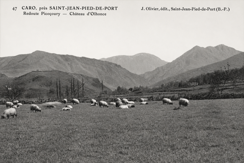 Les environs du village de Çaro - Zaro vers 1920