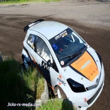 dsc_3183jpg-1.jpg