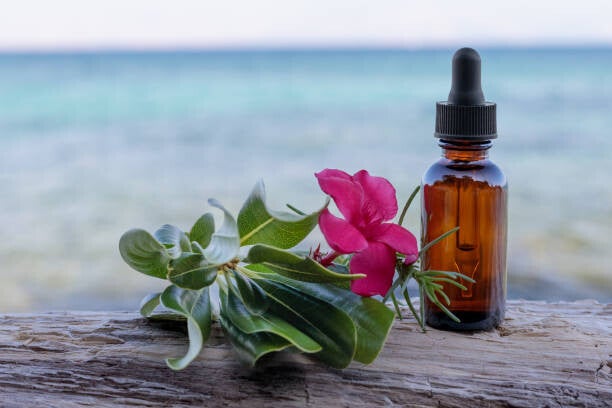 Bach Bloesem standaard mix