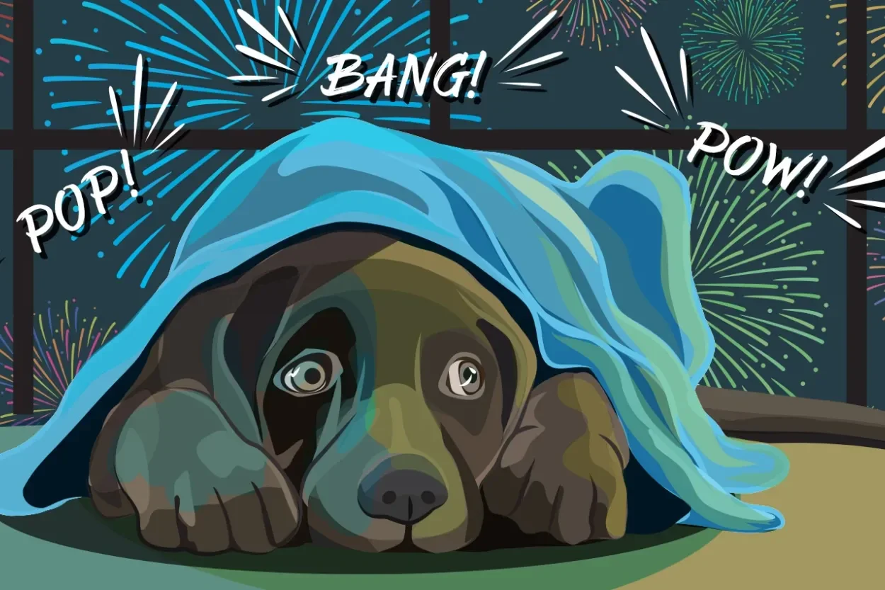 Start 21 september 2026 - Vuurwerk - Angst bij honden Teams Live