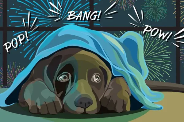 Start 21 september 2026 - Vuurwerk - Angst bij honden Teams Live