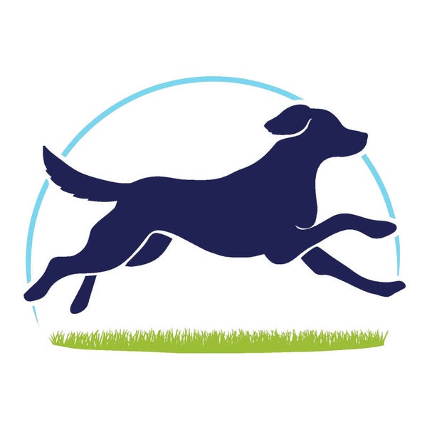 Workshop aan huis – Leer jouw hond masseren in zijn vertrouwde omgeving