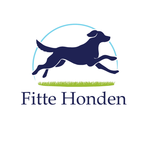 11-05-2026 *** 19:00-20:30 Online lezing Ontspanning met je handen