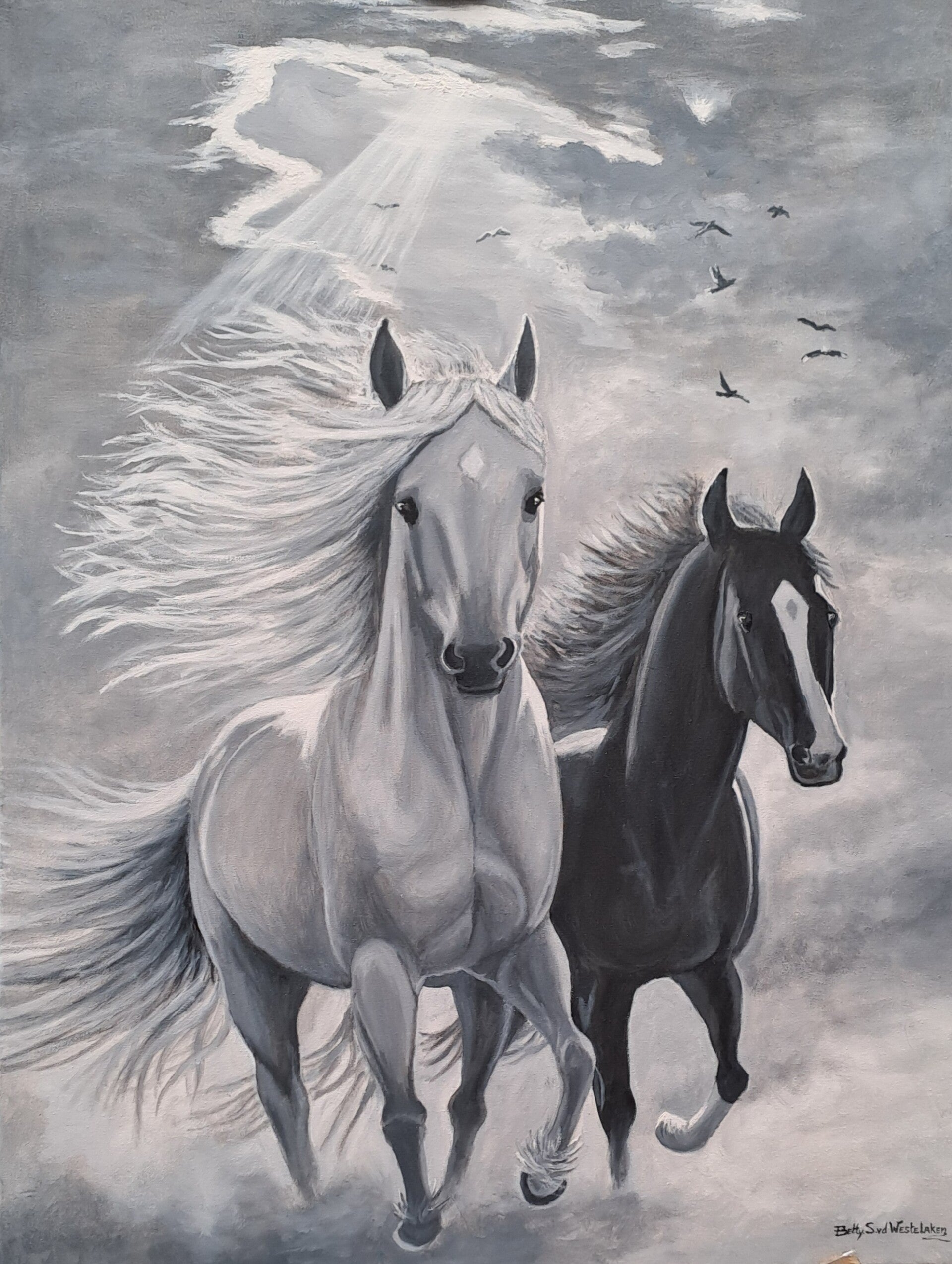 "Black&White Beauty"