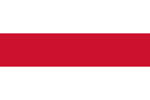 Vlag Brielle