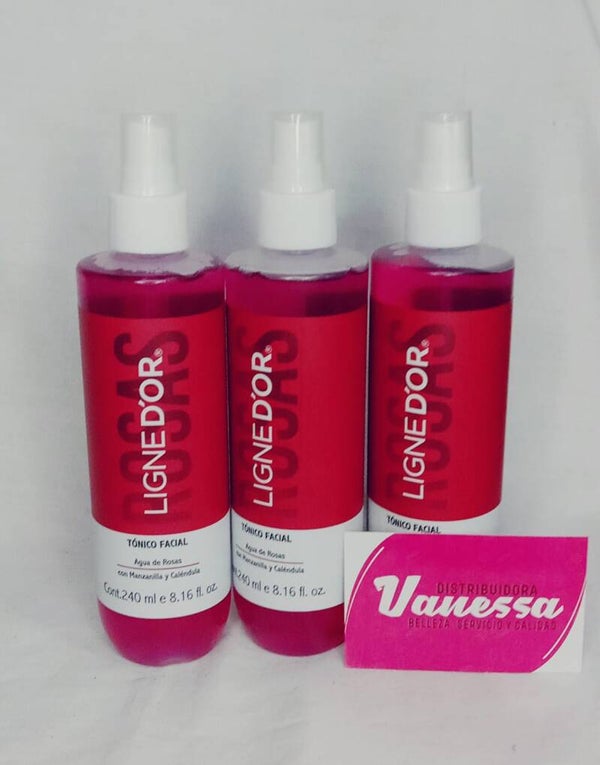 TONICO FACIAL AGUA ROSAS 240ML LDIOR