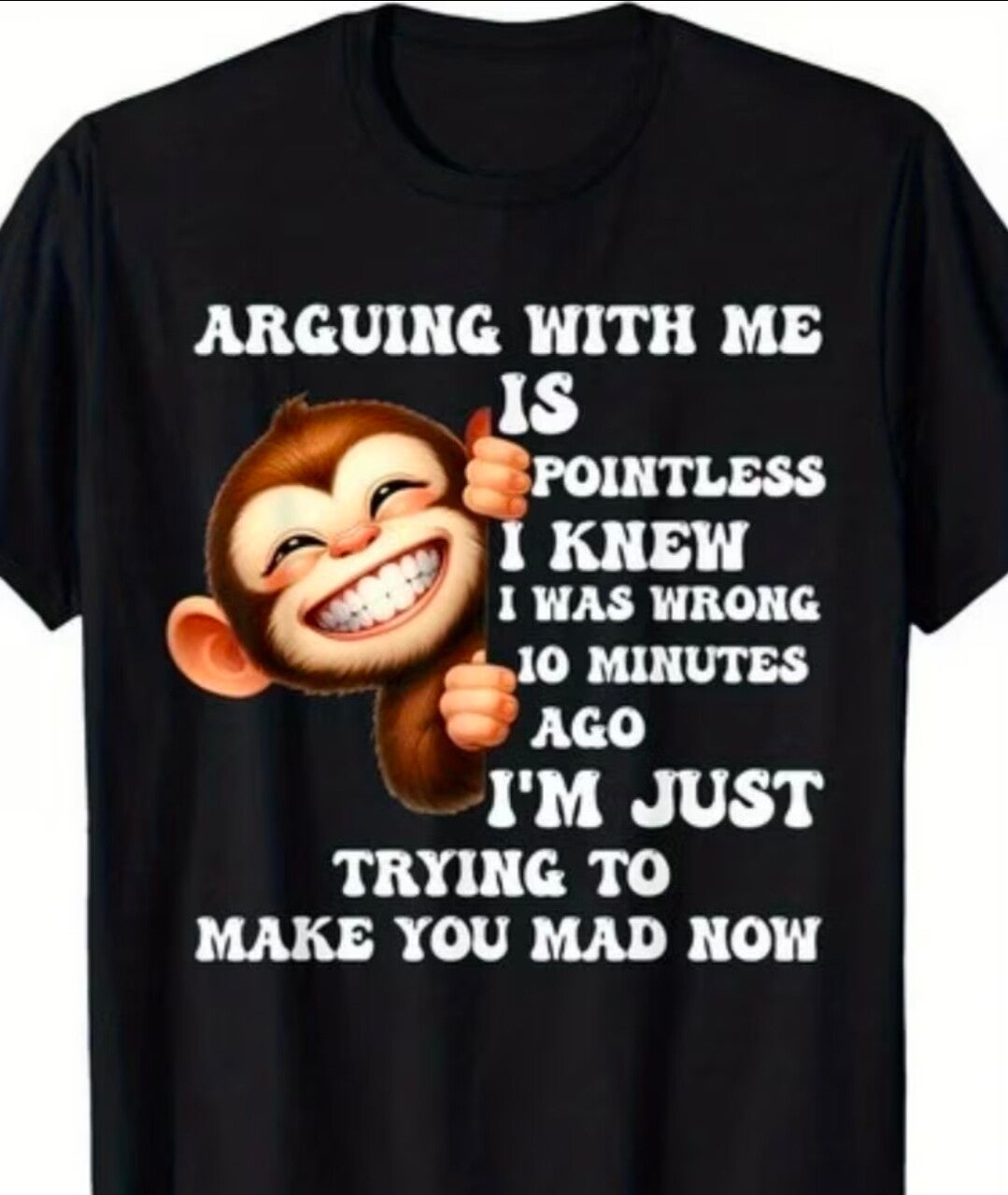 T-shirt :  Arguing with me is pointless.