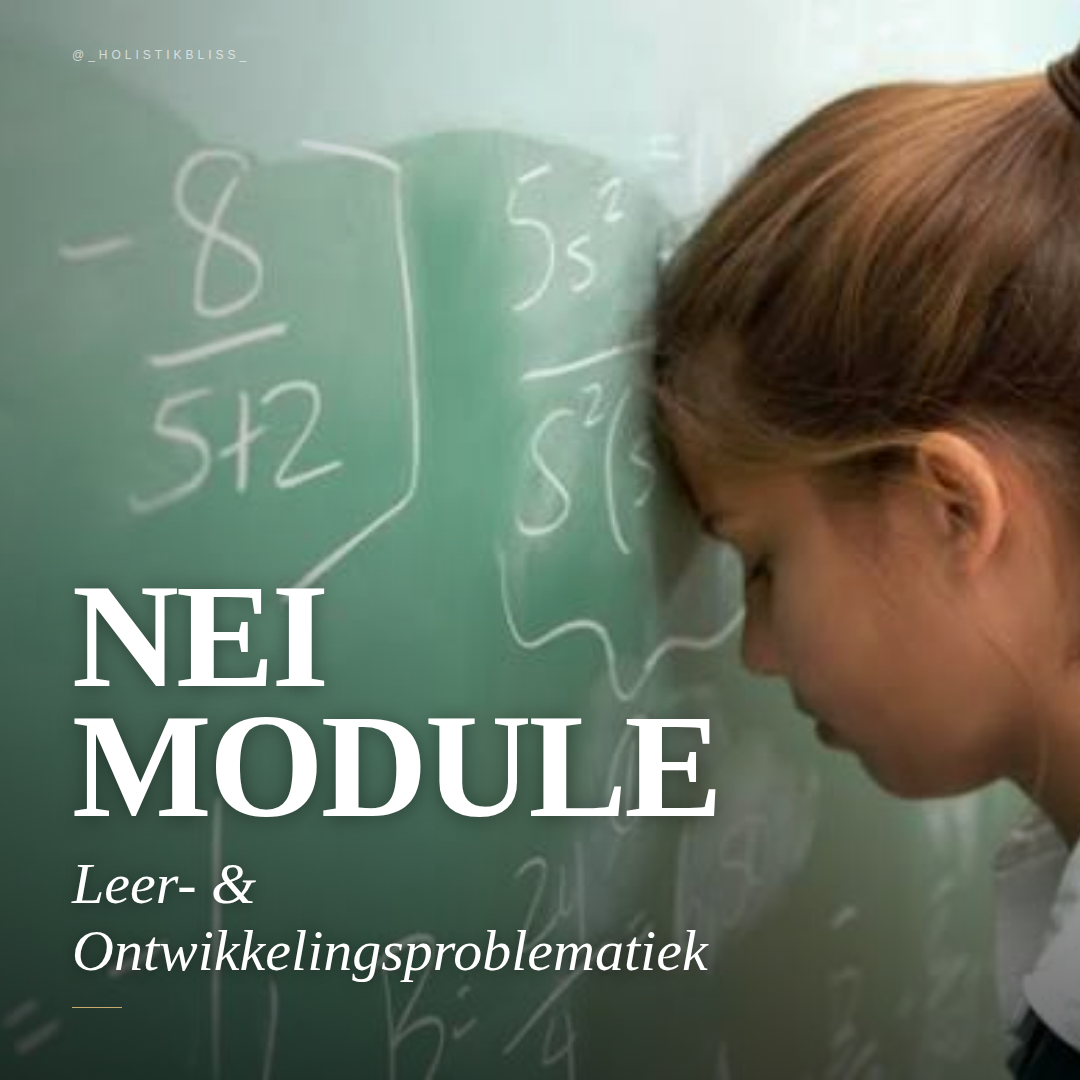 Leer  &  Ontwikkelingsproblematiek