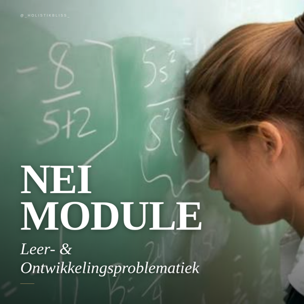Leer  &  Ontwikkelingsproblematiek
