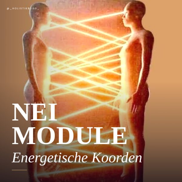 Energetische koorden