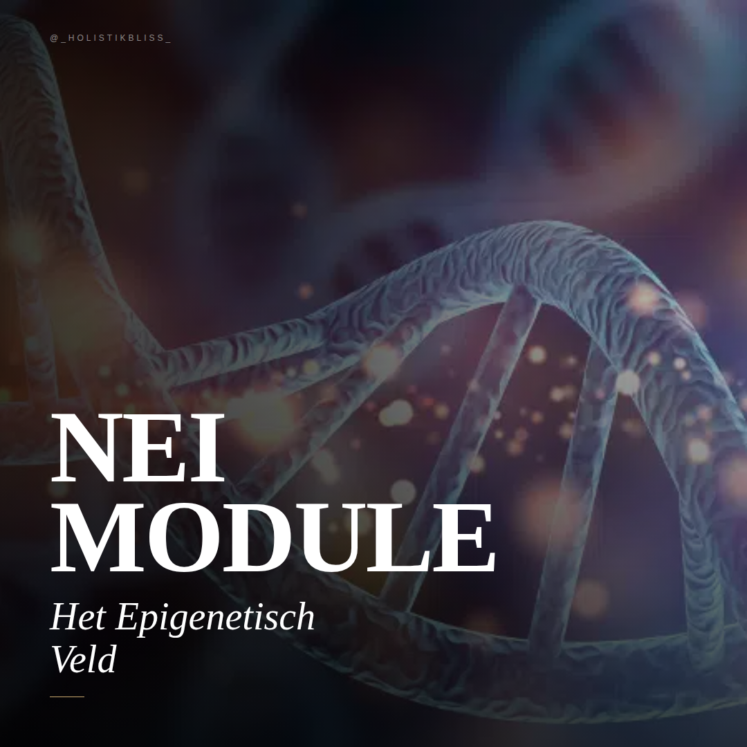HET EPIGENETISCH VELD