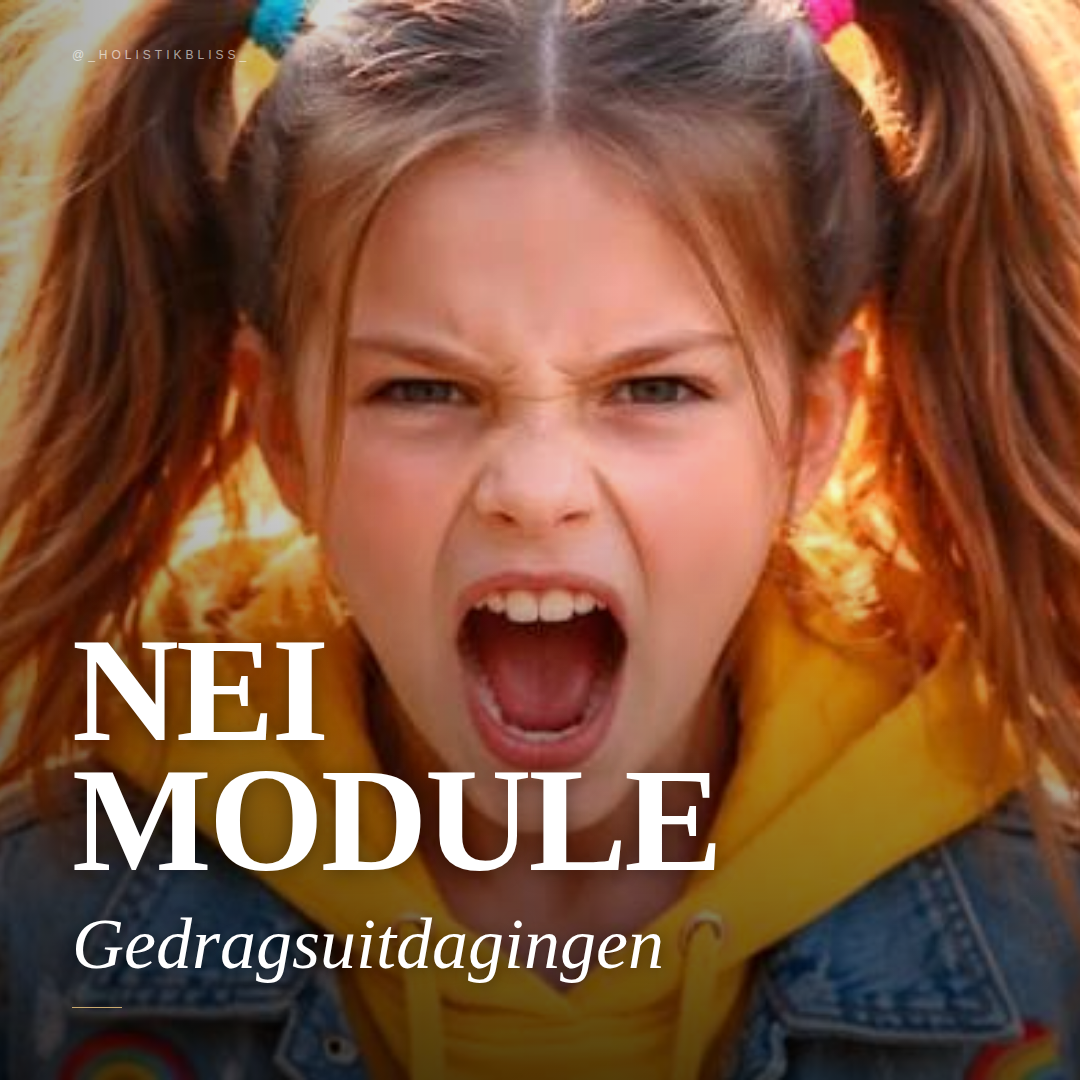 Gedragsuitdagingen
