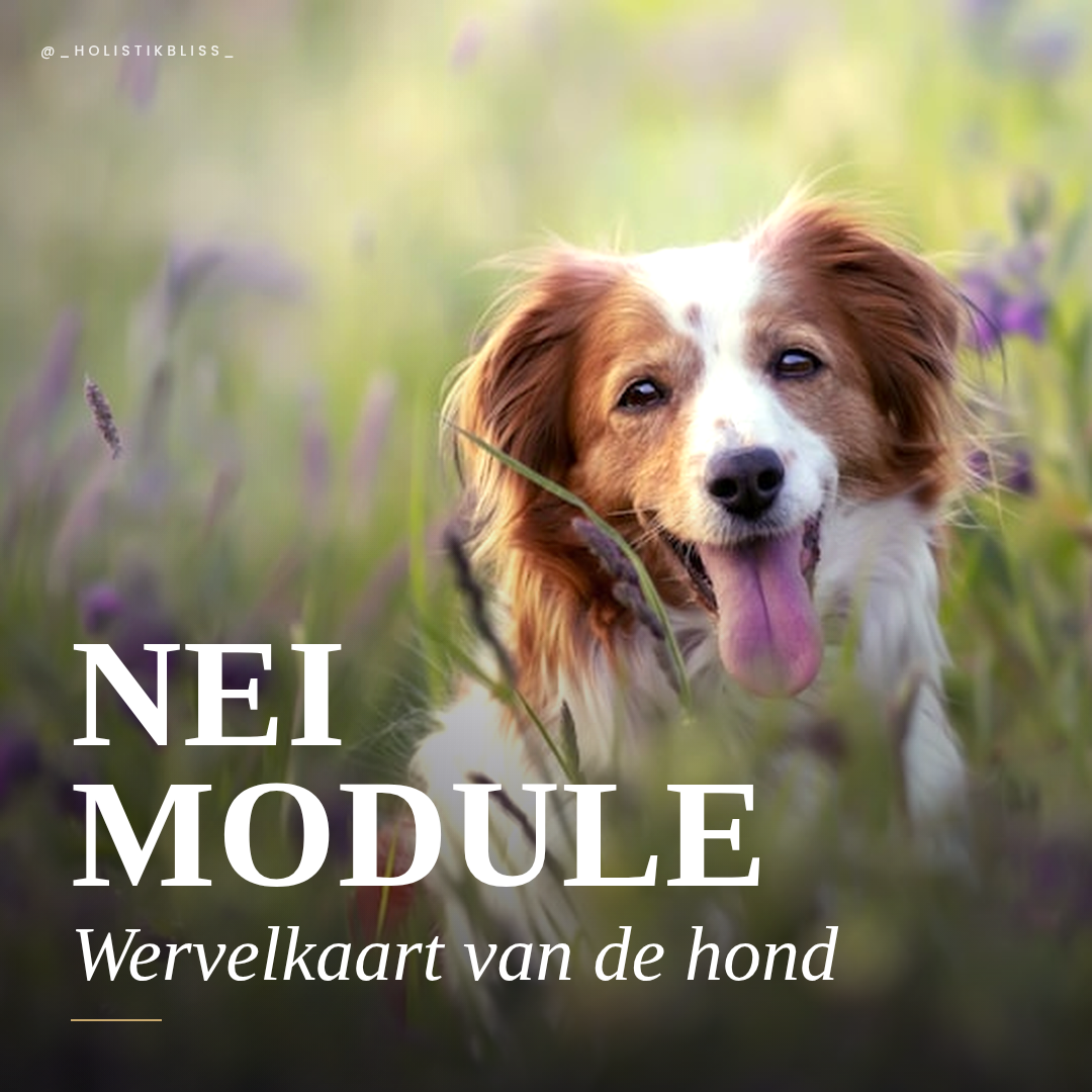 Wervelkaart Honden