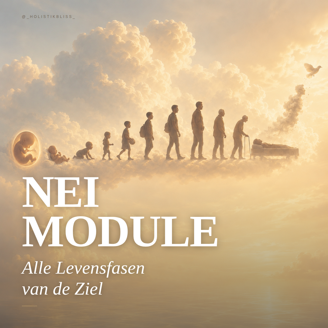 Alle levensfases van jouw ziel