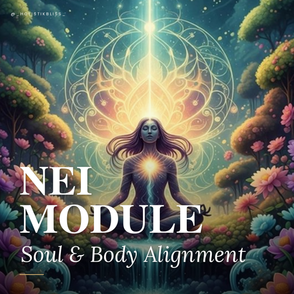 Soul & Body Alignment -Blokkade en overtuiginglijst 14 Thema's, een volledig pakket