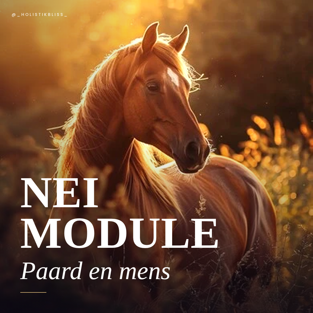 Paard en mens