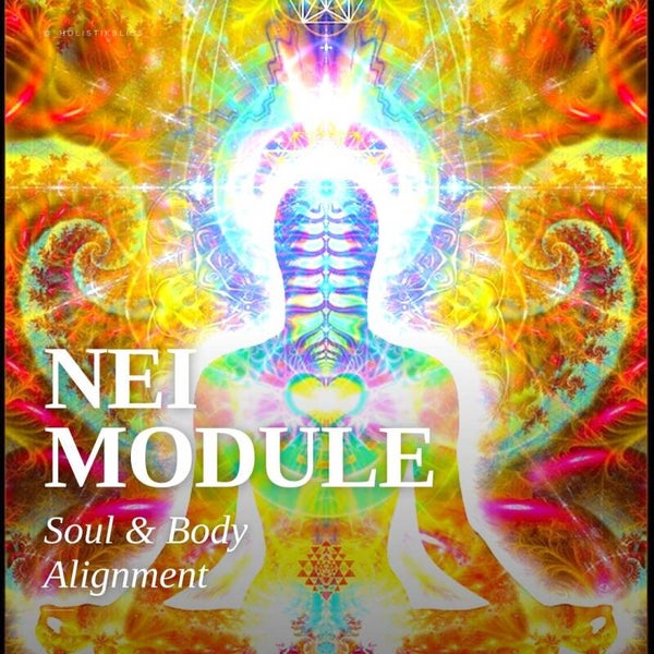 14 Thema's, een volledig pakket; Soul & Body Alignment -Blokkade en overtuiginglijst