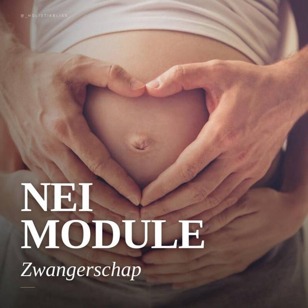 Zwangerschap – Van Wens tot Geboorte (4 Modules in 1)