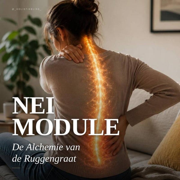 De Alchemie van de Ruggengraat