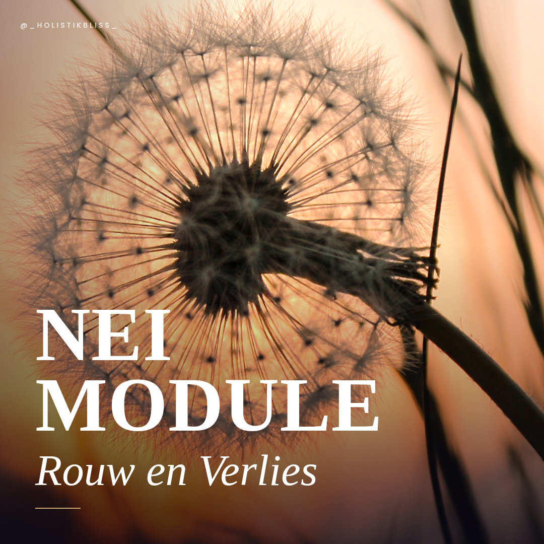 Rouw & Verlies – Elke Vorm van Verlies Laat een Spoor Achter