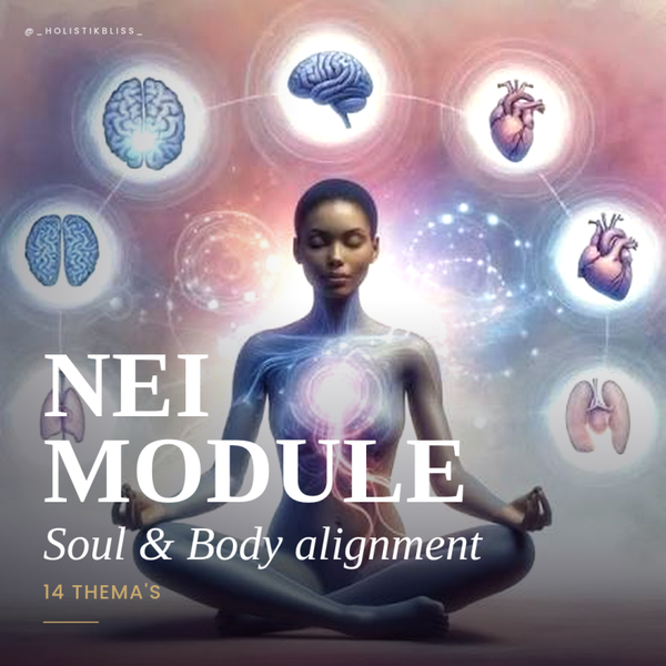14 Thema's, een volledig pakket; Soul & Body Alignment -Blokkade en overtuiginglijst