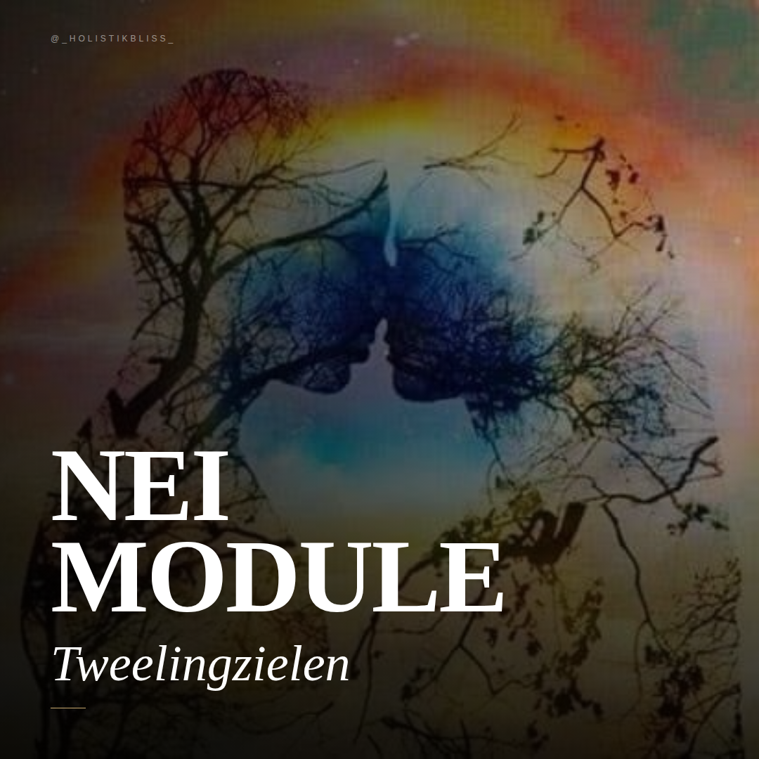 Tweelingzielen