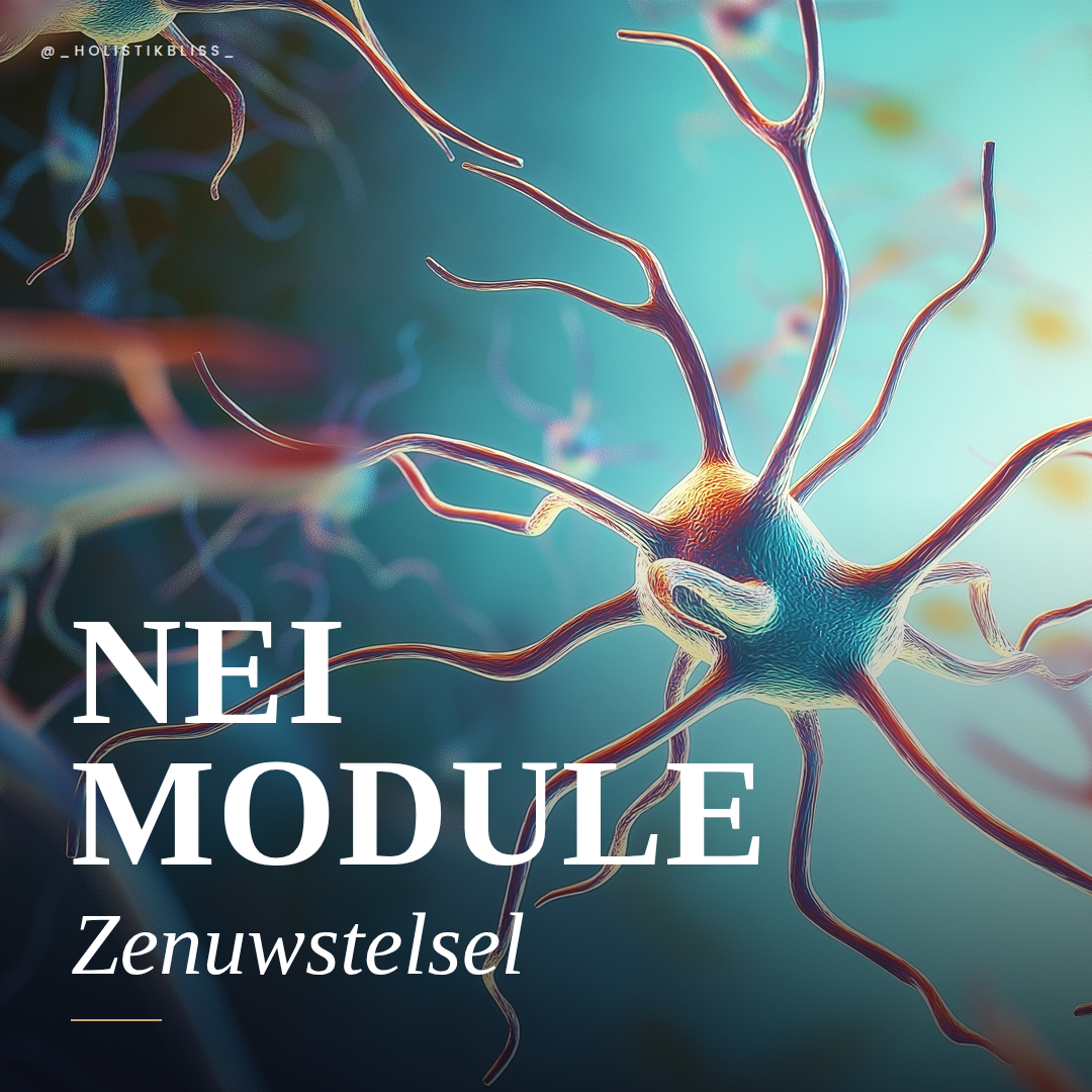 Zenuwstelsel