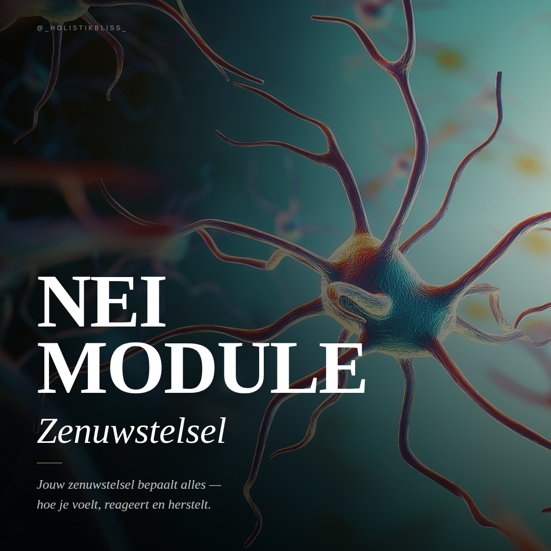 Zenuwstelsel