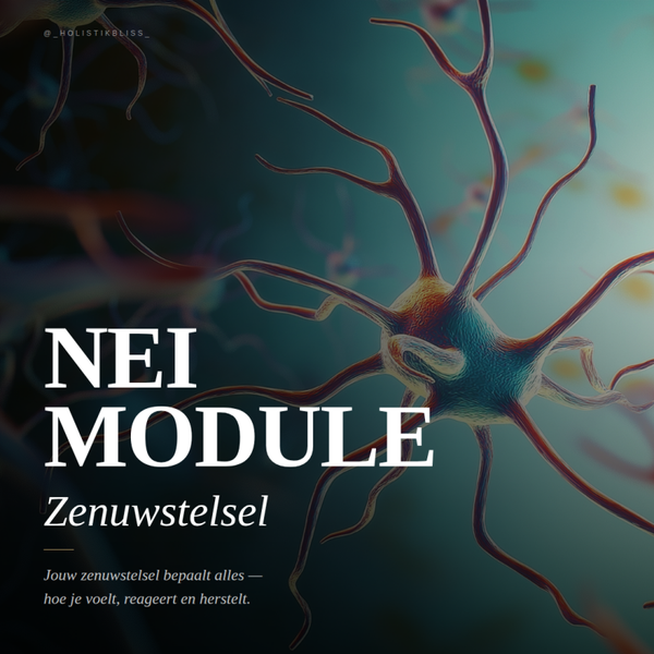 Zenuwstelsel