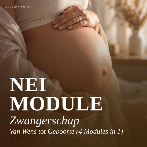 Zwangerschap – Van Wens tot Geboorte (4 Modules in 1)