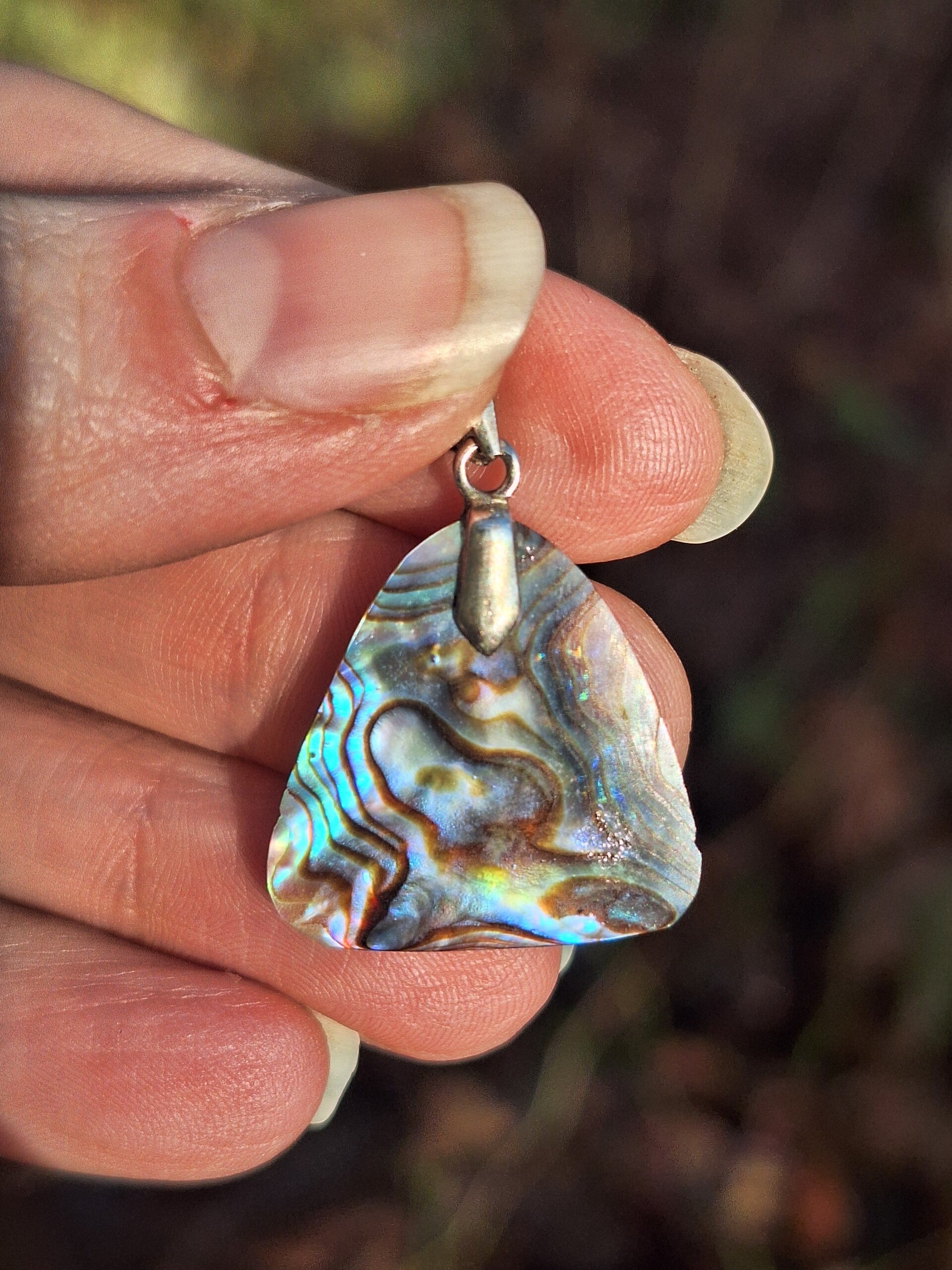 Abalone