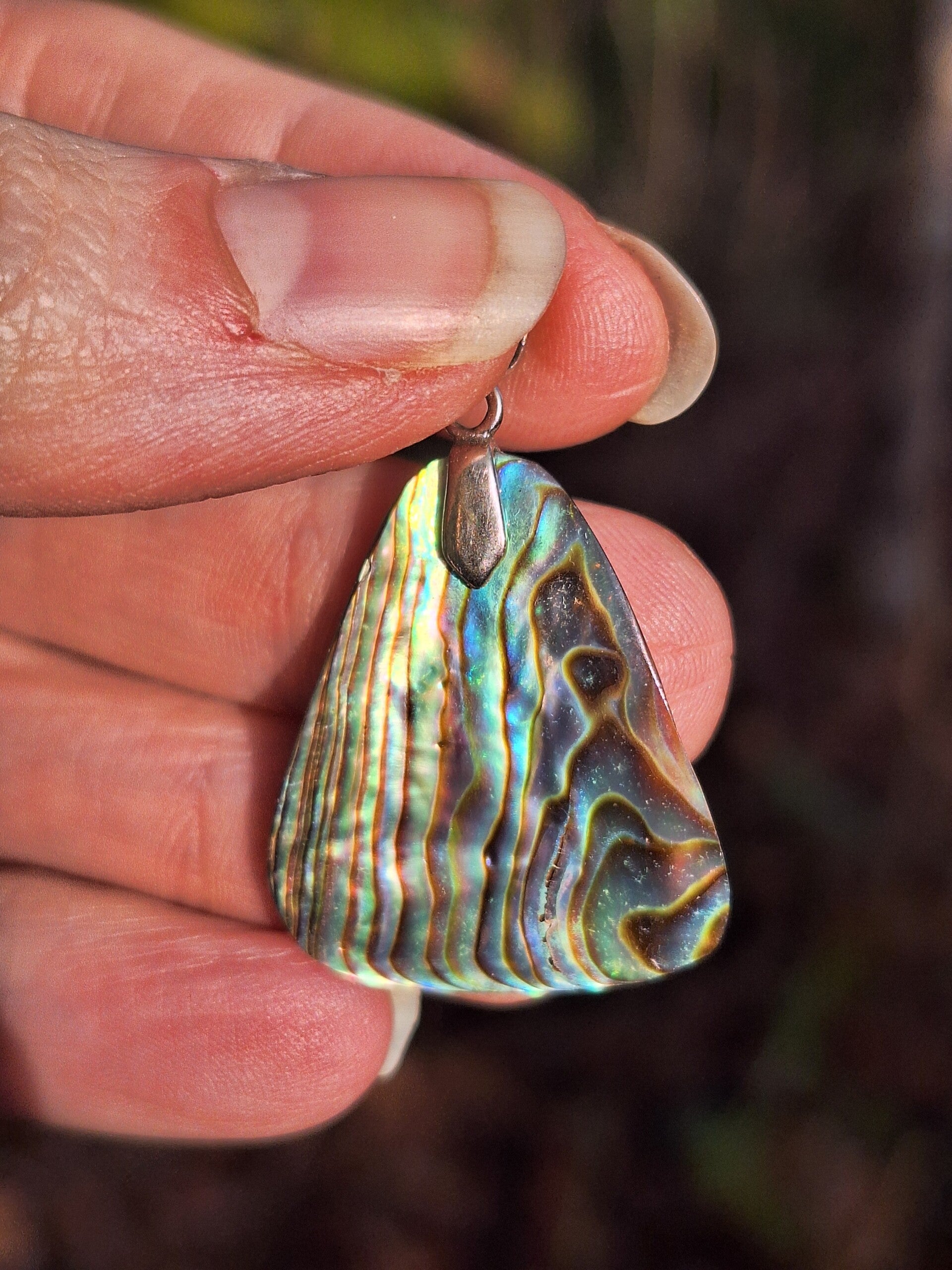 Abalone