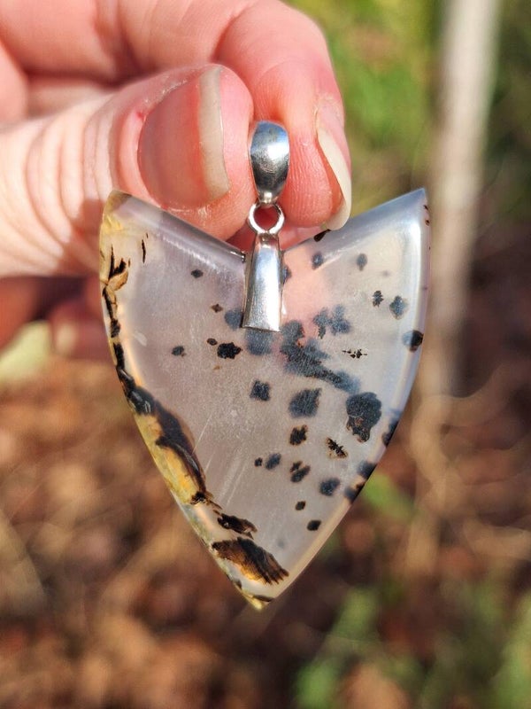 Agate du Montana