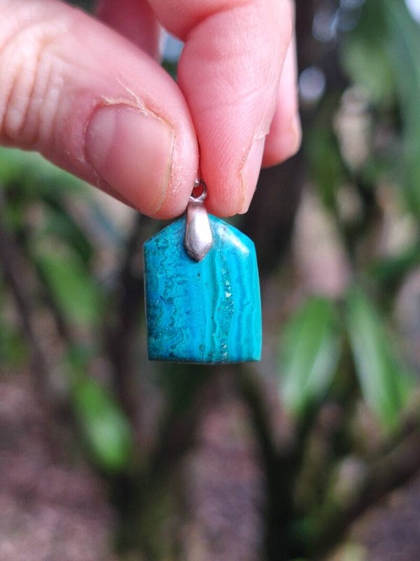 Chrysocolle