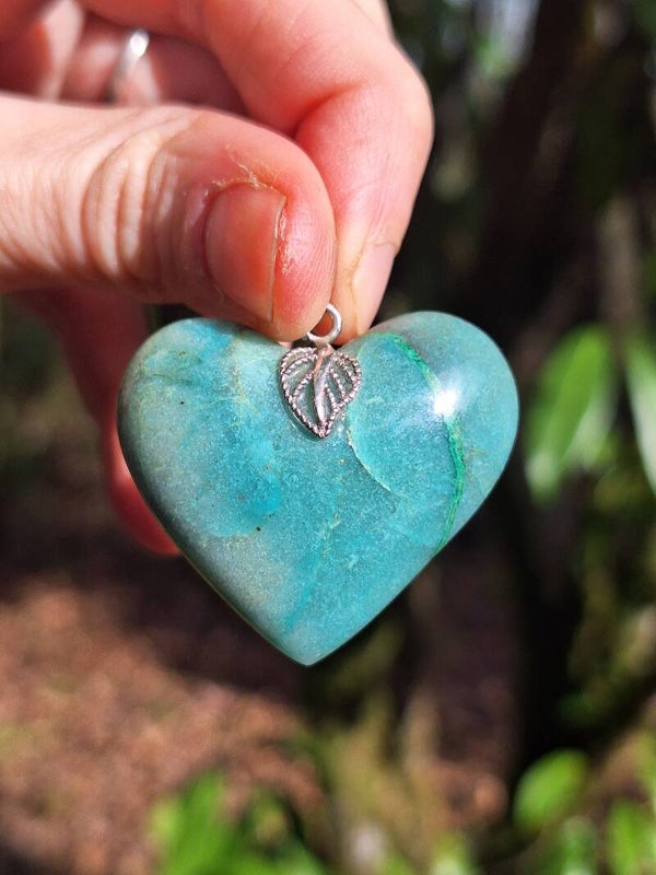 Chrysocolle