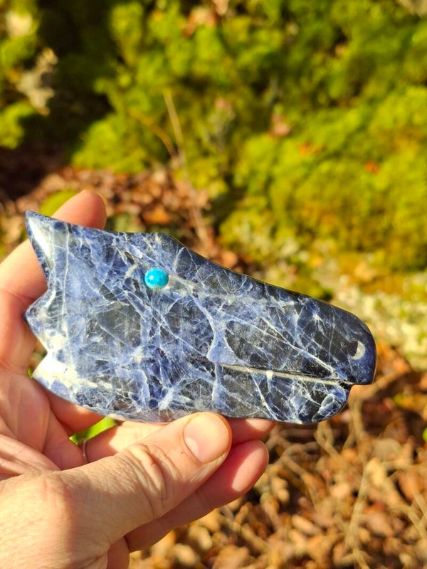 Dragon Gardien Sodalite