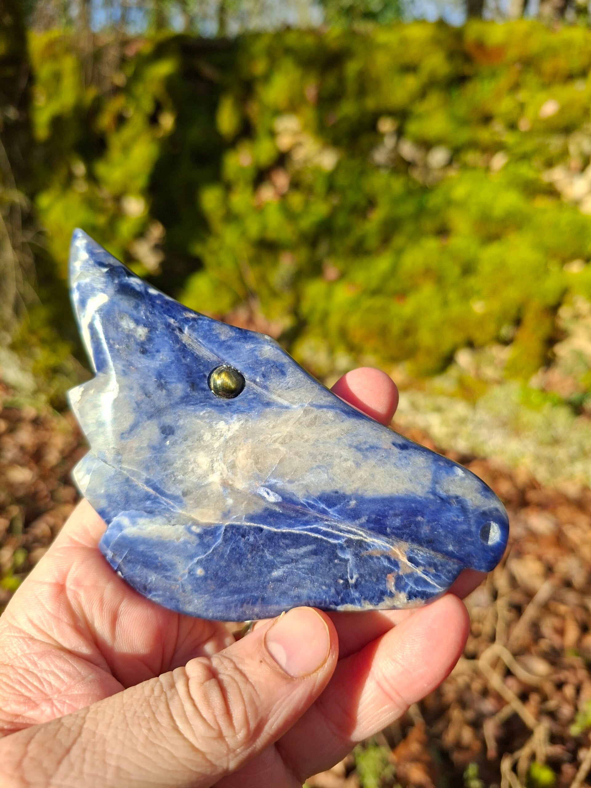 Dragon Gardien Sodalite