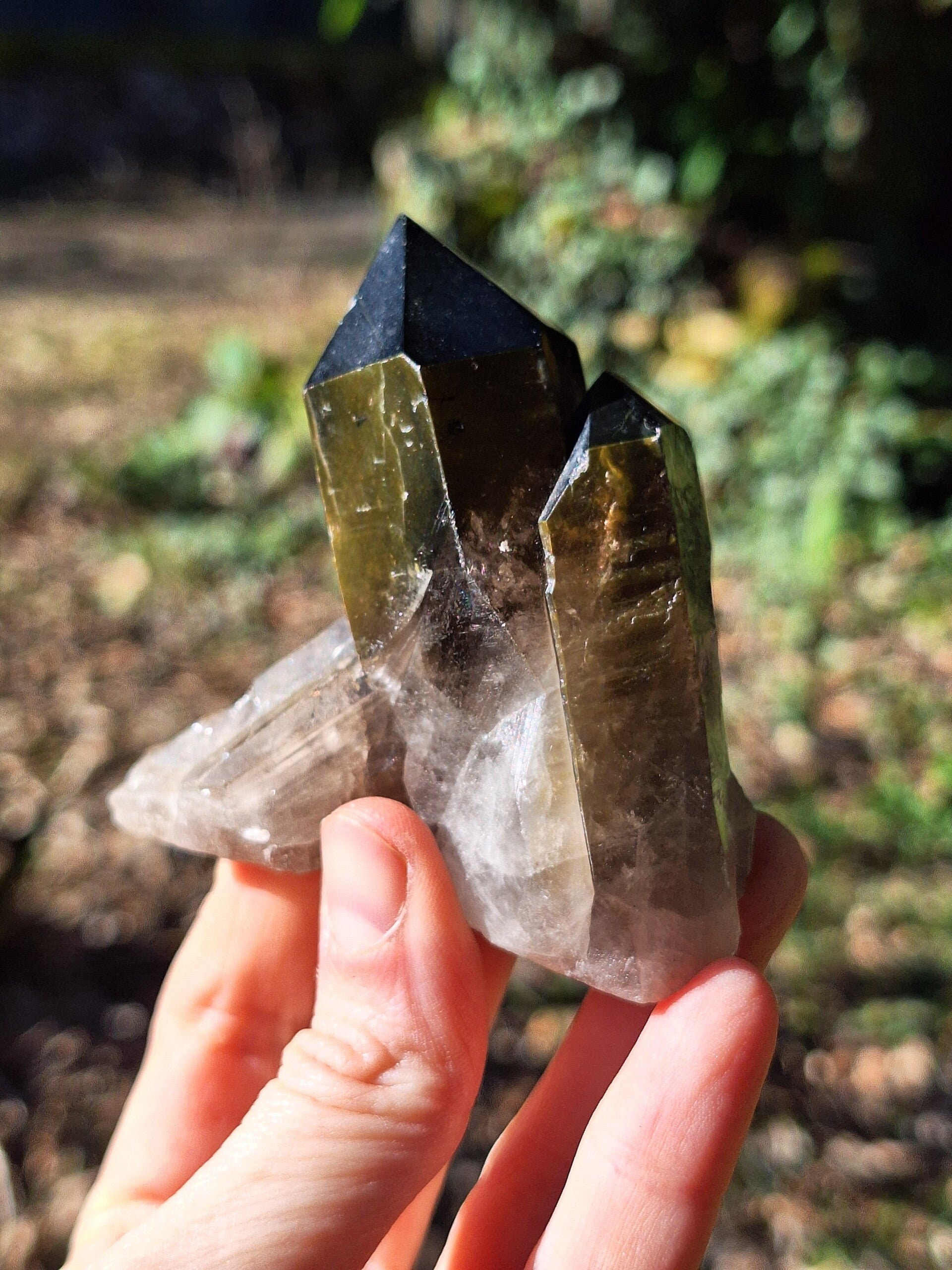 Amas de Quartz Fumé