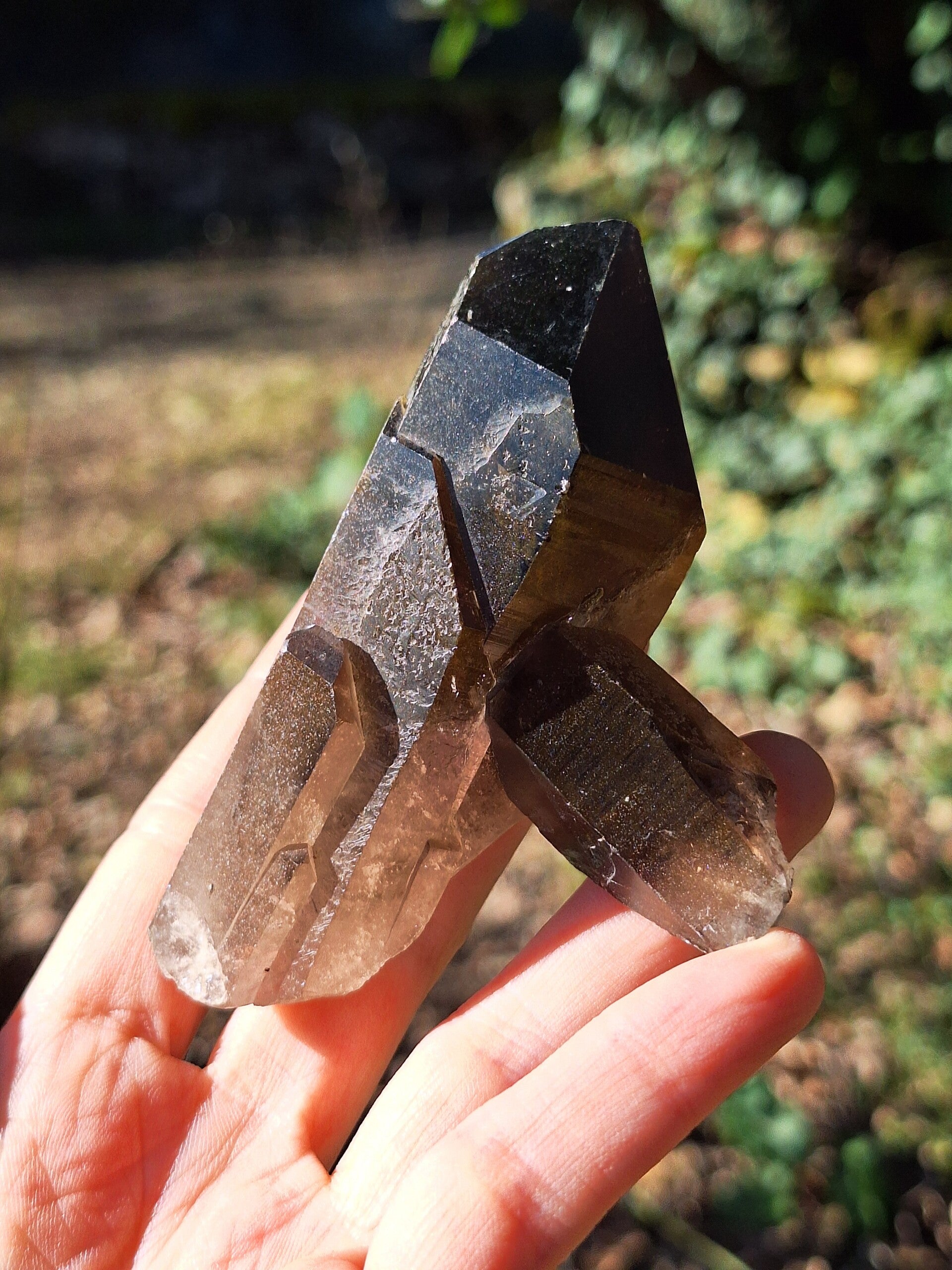 Amas de Quartz Fumé
