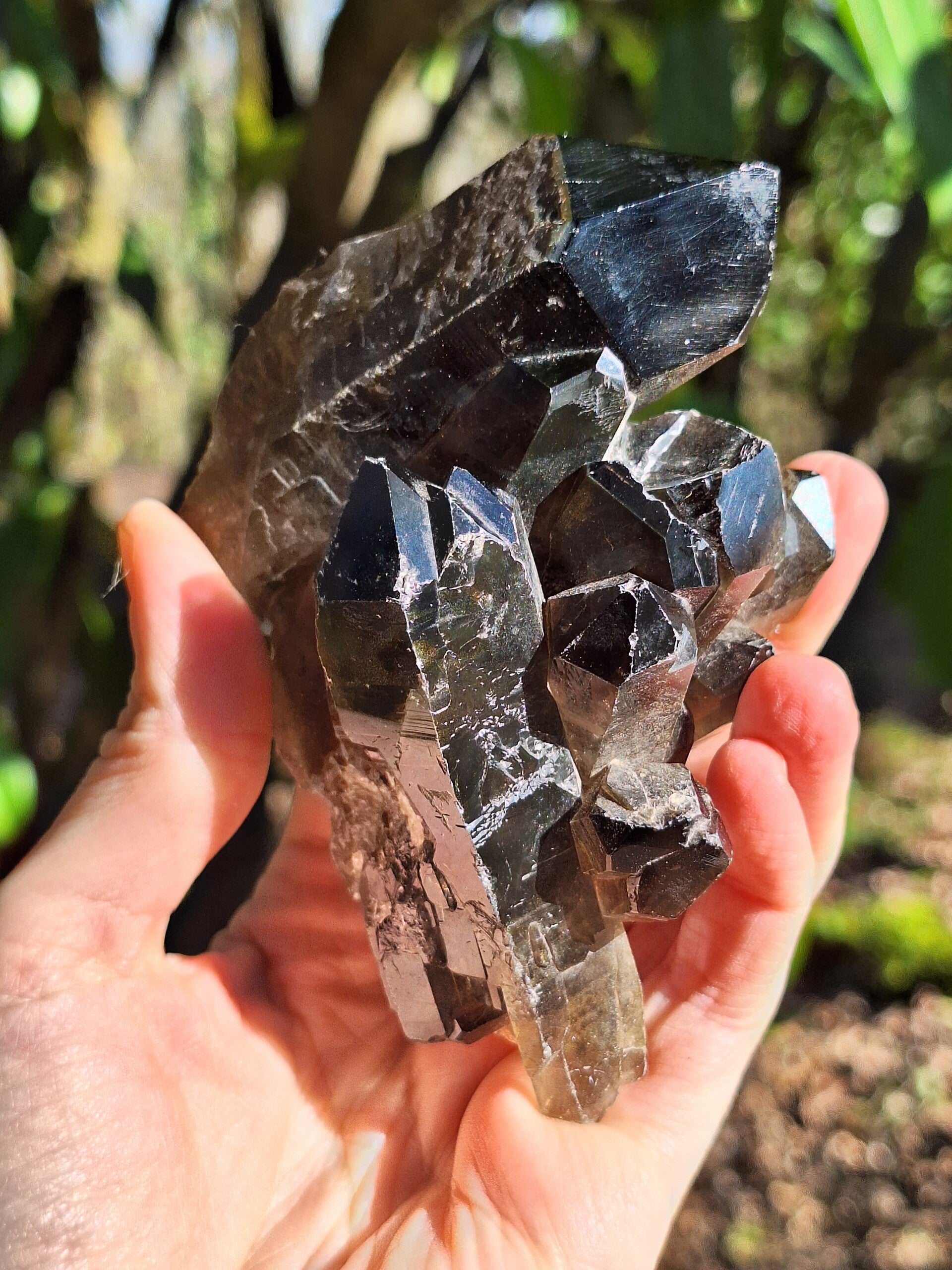Amas de Quartz Fumé
