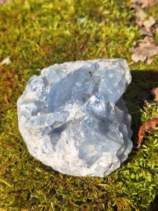 Célestine (Madagascar)