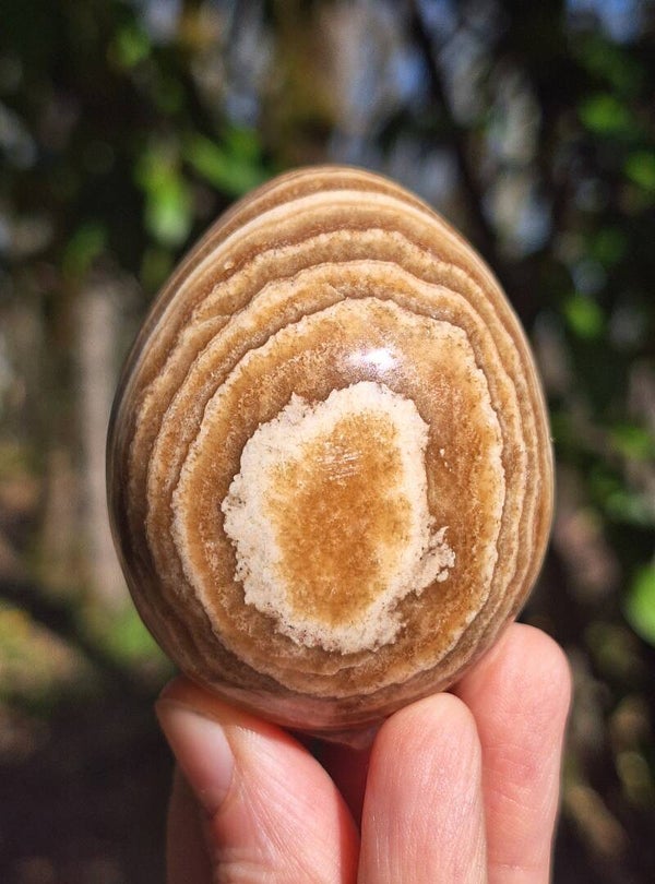 Œuf Aragonite