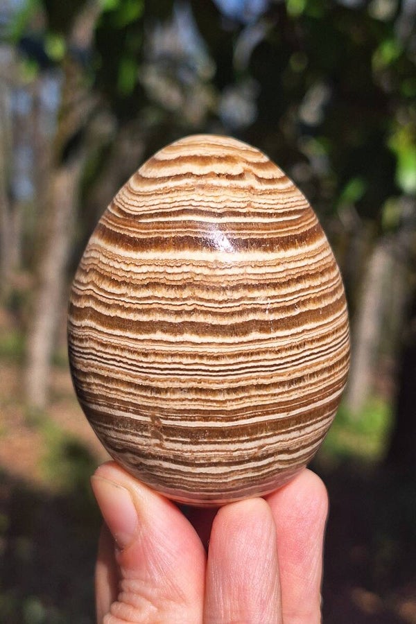Œuf Aragonite