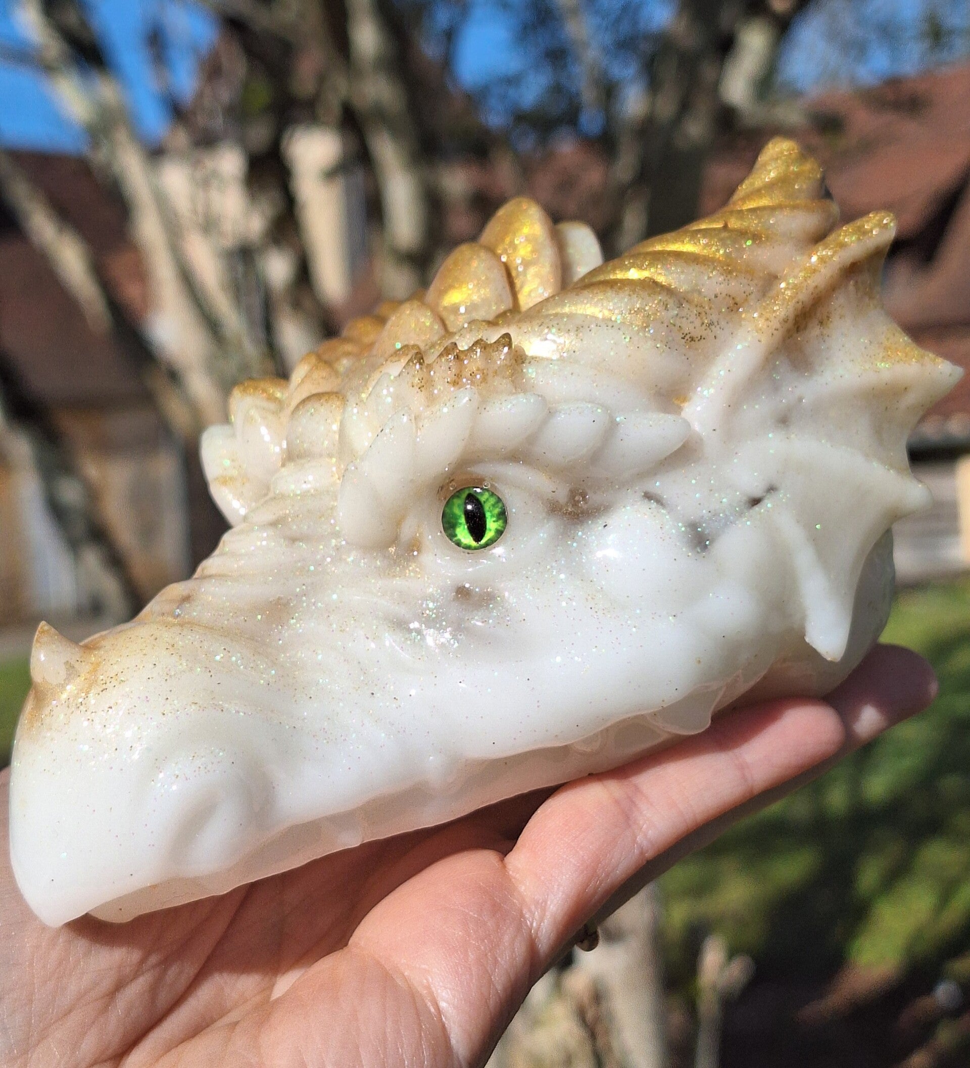 Dragon Gardien