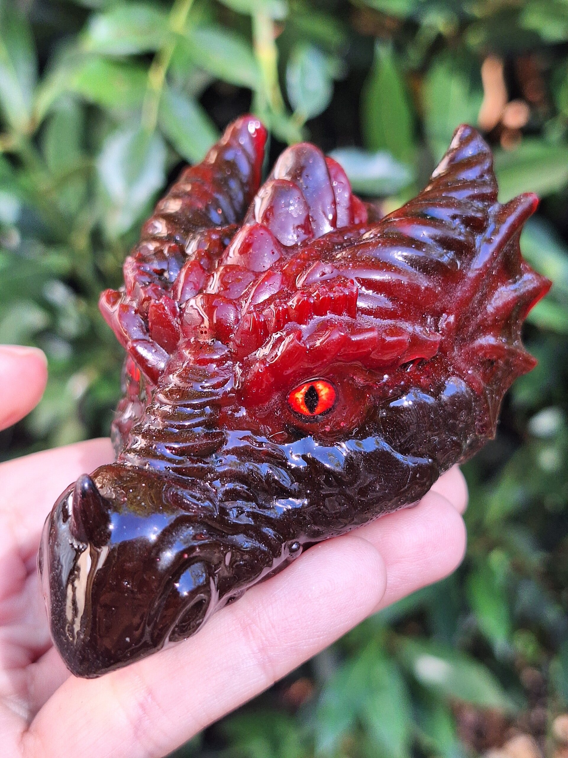 Dragon Gardien