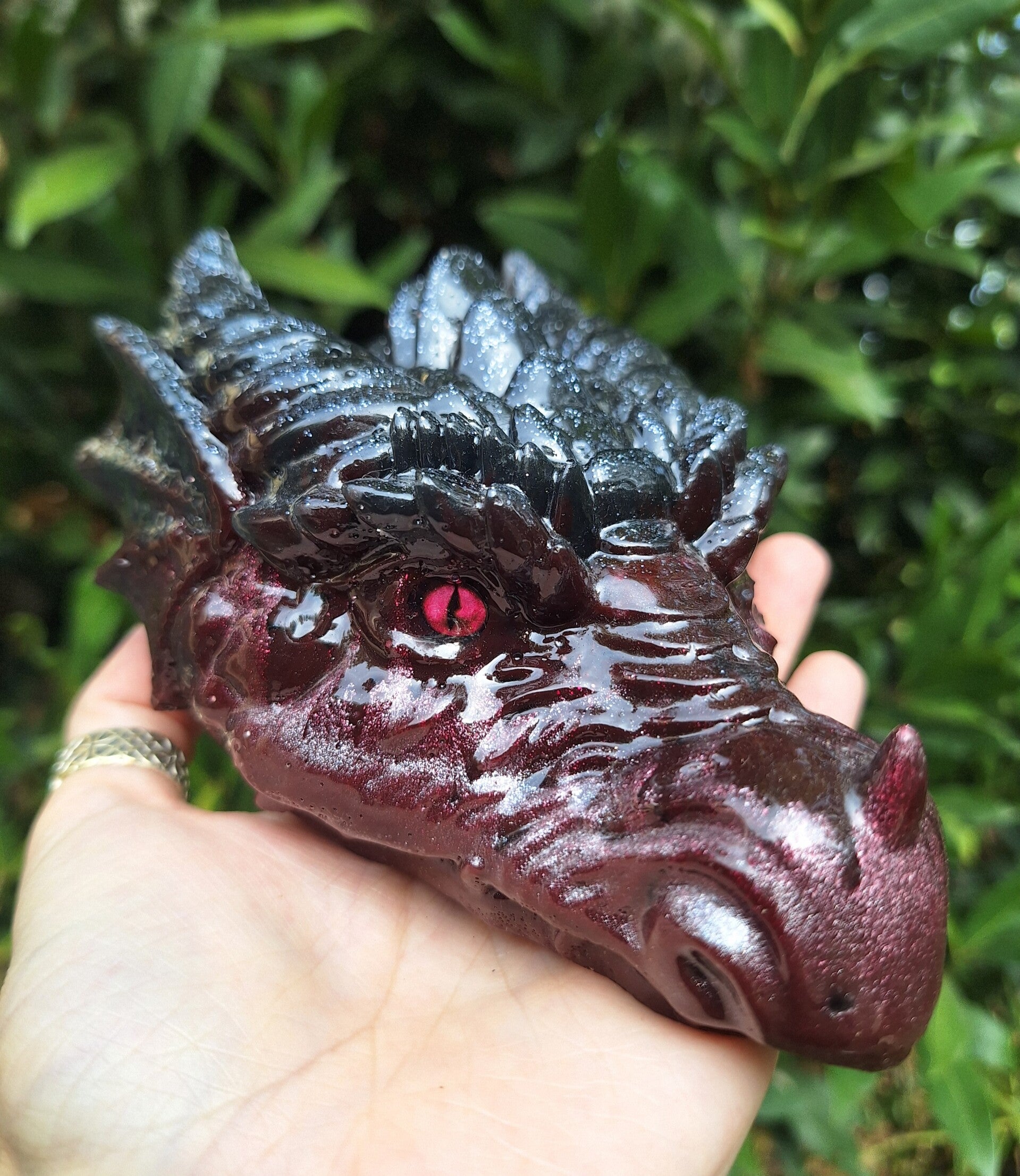 Dragon Gardien