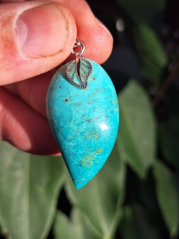Chrysocolle