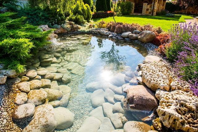 beautiful-garden-natural-pool-stones-placement-rocks-landscaping-san-jose-landscaper