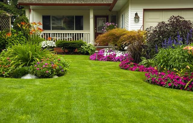 flower-planting-grass-installing-garden-landscaping-san-jose-landscaper